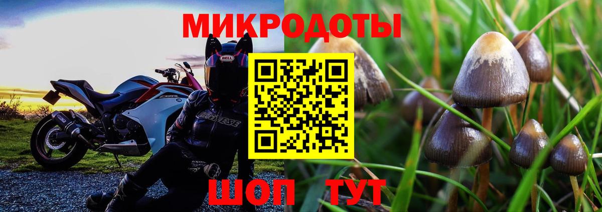 Кемерово  Псилоцибиновые грибы MAGIC MUSHROOMS  Галлюциногенные грибы мицелий  Вход с VPN 